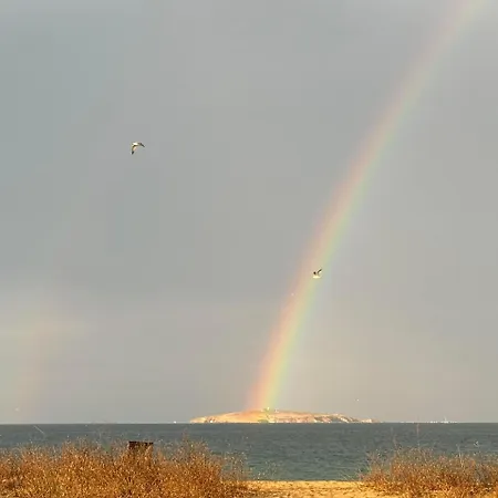 градина луксозен